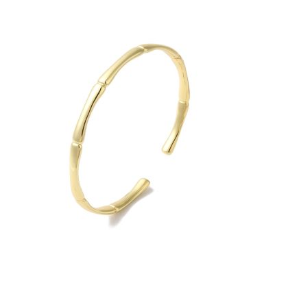 Bratara bangle