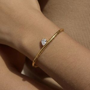 Bratara bangle